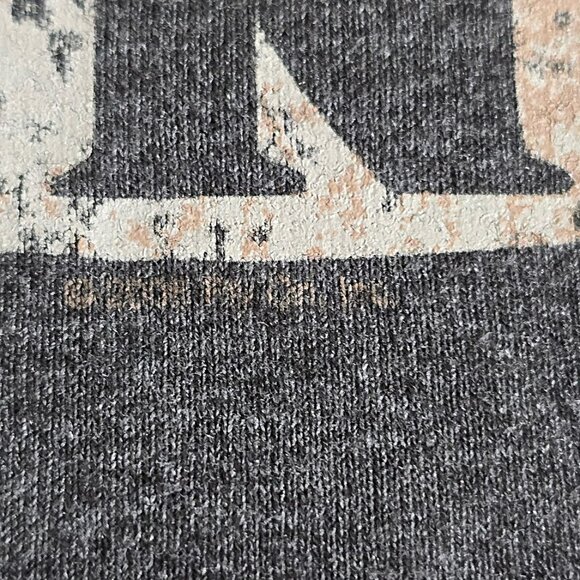 LYNYRD SKYNYRD Concert Tour Vintage Band Tee Size M T-Shirt - Picture 8 of 8